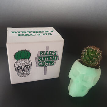 Cactus Or Succulent Skulls That Glow In The Dark, 6 of 8