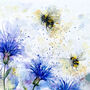 Cornflower And The Bee's Watercolour Print, thumbnail 5 of 8