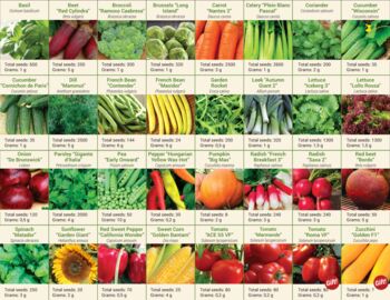 Grand Growing Kit 30 Vegetable Seed Varieties, 5 of 8