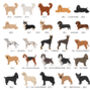Peronalised Dog Breed Fridge Magnet, thumbnail 4 of 12