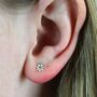 Tiny Sterling Silver White Flower Stud Earrings, thumbnail 4 of 9