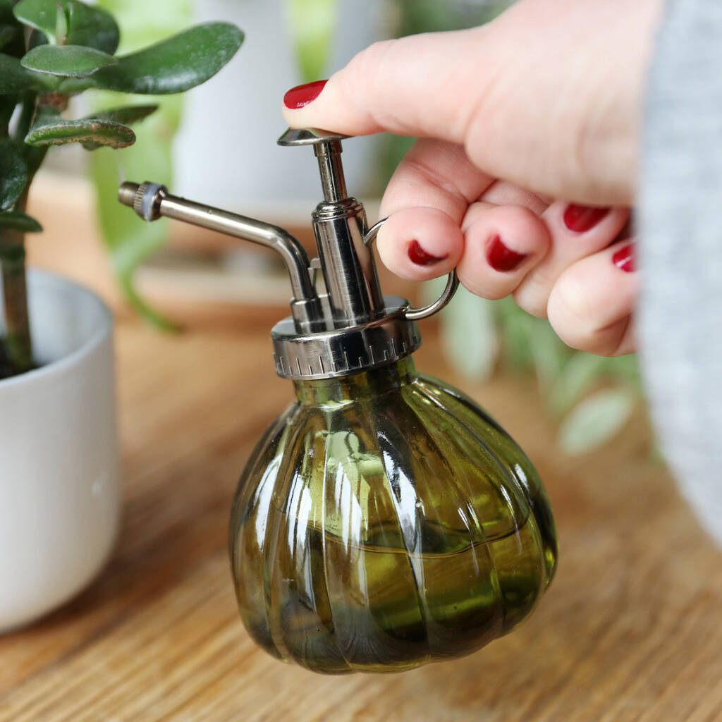 Green Glass Plant Mister By Lisa Angel