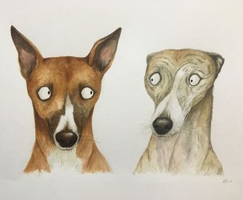 Personalised Pet Portrait Illustration, 3 of 10