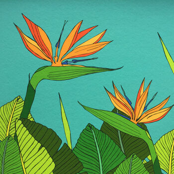 Tropical Bird Of Paradise Flower Print, 6 of 7