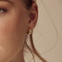 Gold Celestial Dome Studs, thumbnail 4 of 5