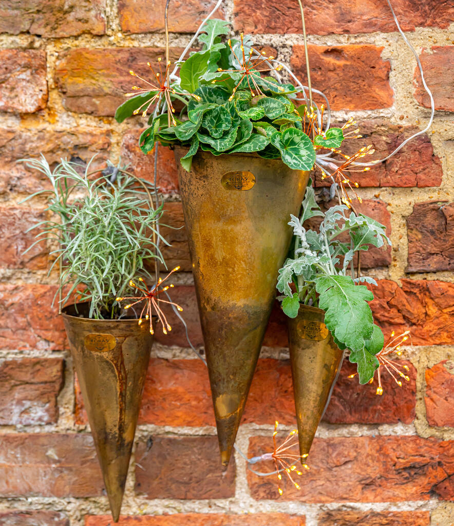 Hornbeam Vintage Hanging Planters Set Of Three By Foras