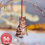 Tabby Cat Hanging Wooden Decoration, thumbnail 1 of 10