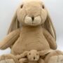 Mummy And Baby Brown Bunny Set, thumbnail 1 of 6