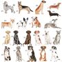 Multiple Breeds To Choose From Dog Cushion, thumbnail 5 of 7
