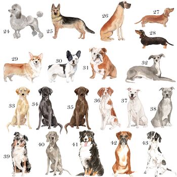 Multiple Breeds To Choose From Dog Cushion, 5 of 7