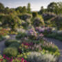 Entrance To R.H.S Garden Rosemoor For Two, thumbnail 5 of 7