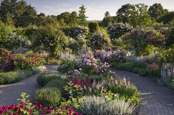 Entrance To R.H.S Garden Rosemoor For Two, 5 of 7