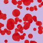 Red Wedding Confetti | Biodegradable Paper Confetti, thumbnail 1 of 6