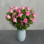 Dozen Pink Roses Bouquet Of Fresh Flowers, thumbnail 1 of 1