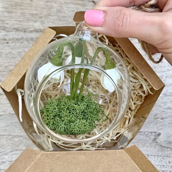Paper Snowdrop Tiny Terrarium With Gift Tag And Box, 11 of 11