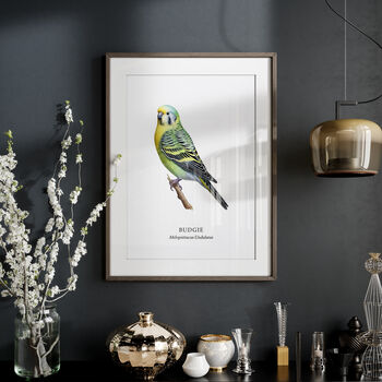 Budgie Wall Print Gift, 4 of 6
