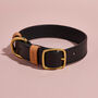 Luxury Leather Dog Collar, thumbnail 8 of 12
