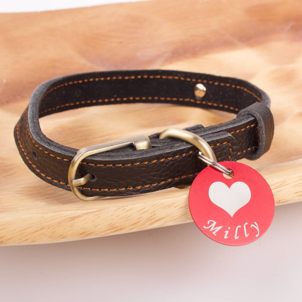 Personalised Dog ID Tags By Mylee London