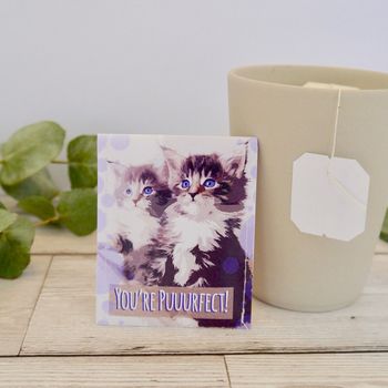 Cat Lovers Tea Gift Set, 11 of 12