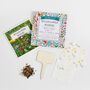 Whimsical Wildflower Wishes – Plantable Seed Gift Set, thumbnail 2 of 8
