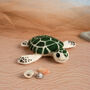 Baby Sea Turtle Needle Felting Kit, thumbnail 3 of 5
