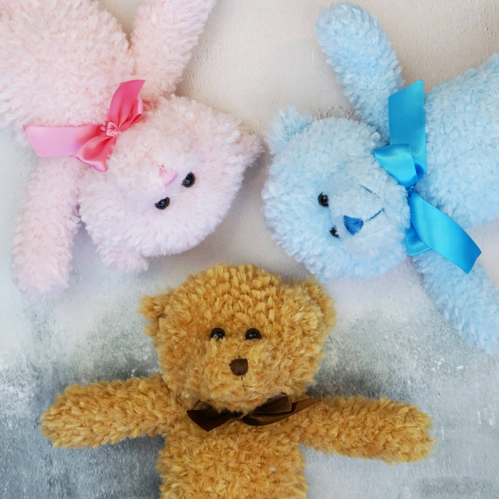 Download Personalised Teddy Bear Gift By Sparks Living ...