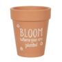 Bloom Where You Are Planted Terracotta Plant Pot, thumbnail 2 of 3