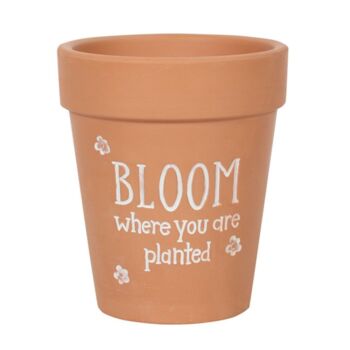 Bloom Where You Are Planted Terracotta Plant Pot, 2 of 3