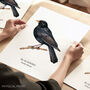 Wall Print Of A Blackbird, thumbnail 1 of 6
