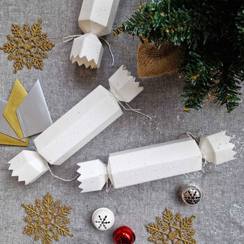 Plantable Seed Paper Christmas Crackers Eco Friendly, 5 of 5