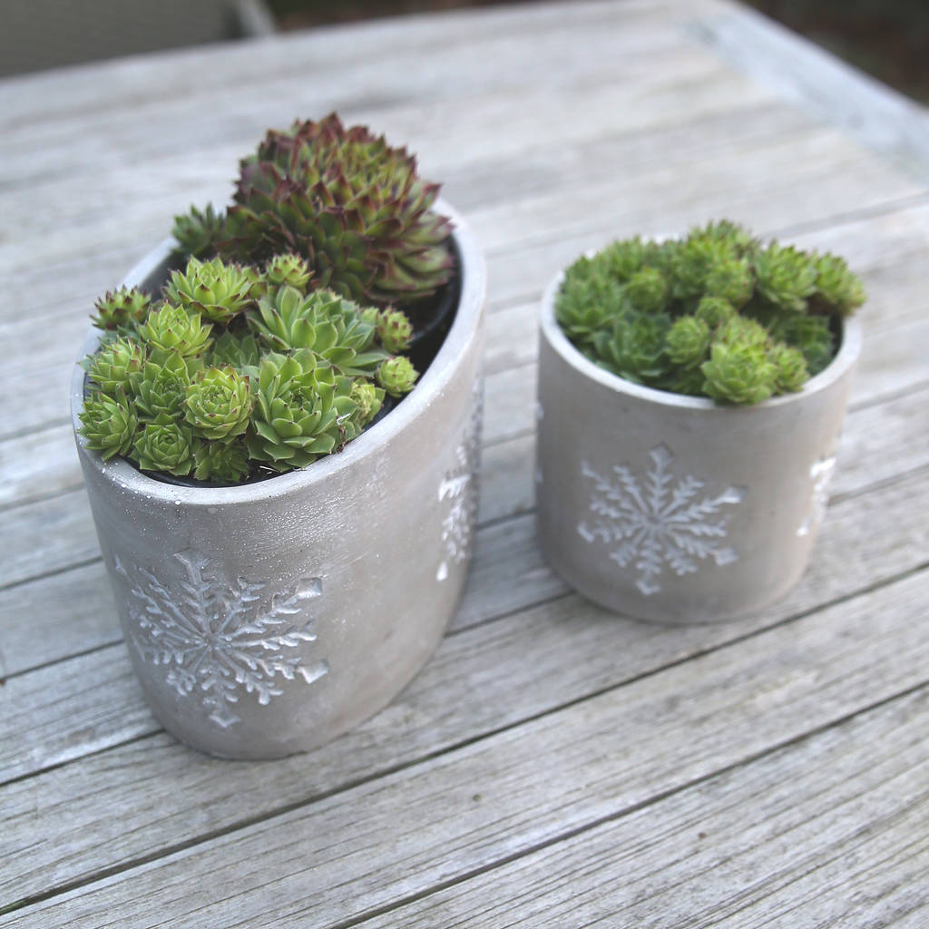Cement Star Plant Pot By Clem & Co