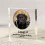 Personalised Pet Memorial Photo Acrylic Block, thumbnail 1 of 3