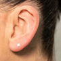 Sterling Silver Star Labret Earring, thumbnail 1 of 12