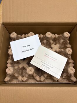 Around The World In 12 Beers, 2 of 4