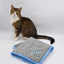 Personalised Embroidered Pet Blanket, thumbnail 1 of 4
