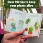 Houseplant Survival Gift Set, thumbnail 5 of 6