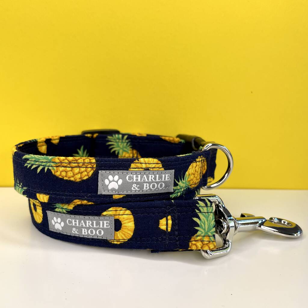 Pineapple top dog collar