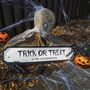 Personalised 'Trick Or Treat' Street Sign, thumbnail 2 of 2
