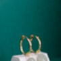 14 K Gold Filled Hoop Earrings With Gemstone Charms, thumbnail 9 of 9