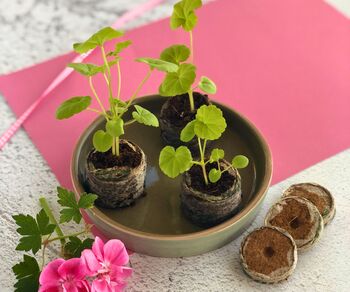 New Beginnings Gift Box With Seeds, Wax Melt And Inspirational Postcard Letterbox Gift, 8 of 10