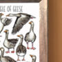 Gaggle Of Geese Watercolour Print, thumbnail 9 of 9