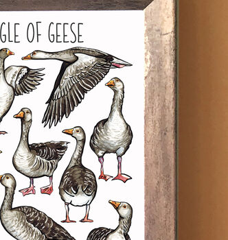 Gaggle Of Geese Watercolour Print, 9 of 9