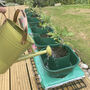 Three Thirsty Tomato Grow Bag Pots Watering Aid Kit, thumbnail 9 of 11