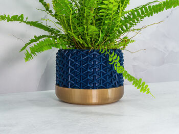 Midnight Stellar Planter, 4 of 4