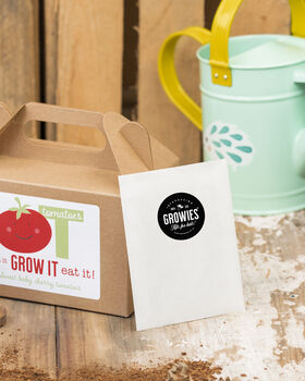 Kids Garden Tomato Growing Seed Kit, 3 of 7