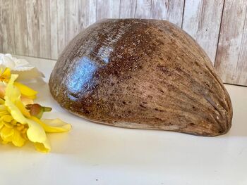 Coconut Shell Bowl With Pearlised Lining Natural Bowl, 6 of 10