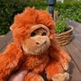 Super Soft Orangutan Cuddly Toy, thumbnail 6 of 10