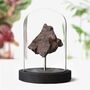 Chondrite Meteorite Real Authentic Space Meteor Fragment Bell Jar, thumbnail 1 of 5