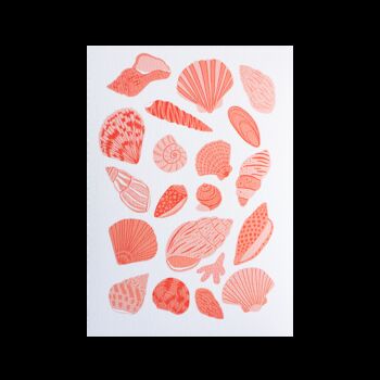 Shell Collection Art Print, 3 of 7