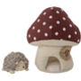 Hedgehog In Toadstool House Gift Set, thumbnail 1 of 5
